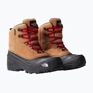 Buty trekkingowe dziecięce The North Face Chilkat V Lace almond butter/black