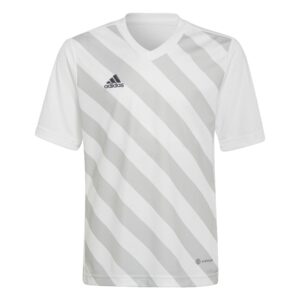 Koszulka piłkarska dla dzieci adidas Entrada 22 Graphic Jersey